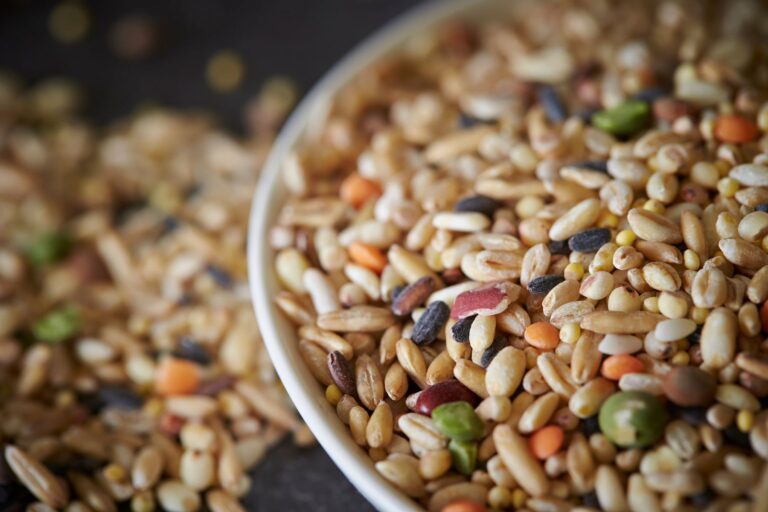 Key Considerations in MultiGrain Rice Cake Production
