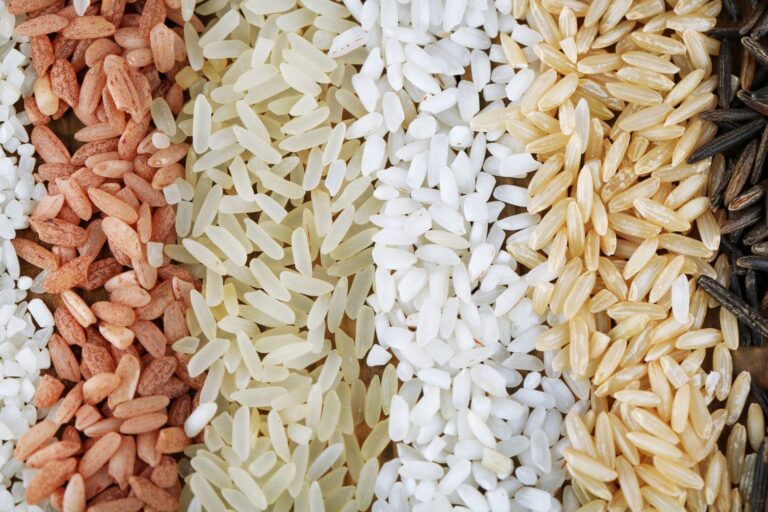 Types of Rice for Rice Cake Production: Flavor, Texture & Market Appeal